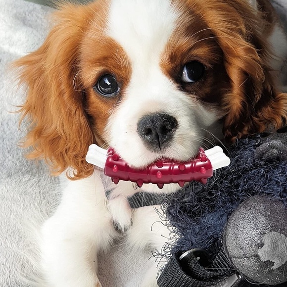 Dog Chew Toys Durable Nylon Aggressive Chewers Clean Teeth Lamb Chop - Picture 6 of 7